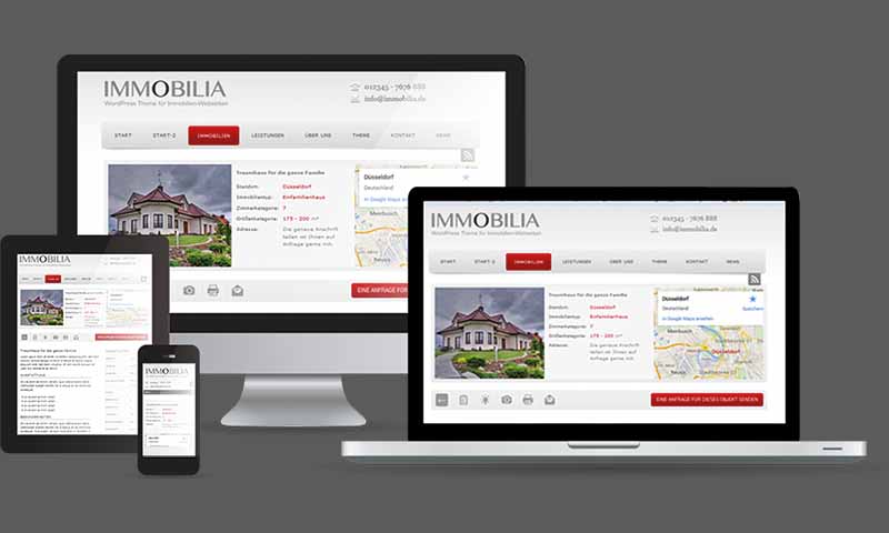 Website-Homepage-Internetseite-Immobilienmakler-Immobilien-DNZ-Networks