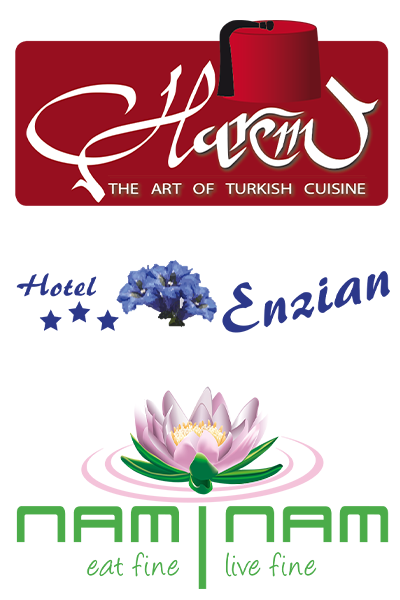 grafik-logo-design-startup-unternehmen-dnz-networks-3