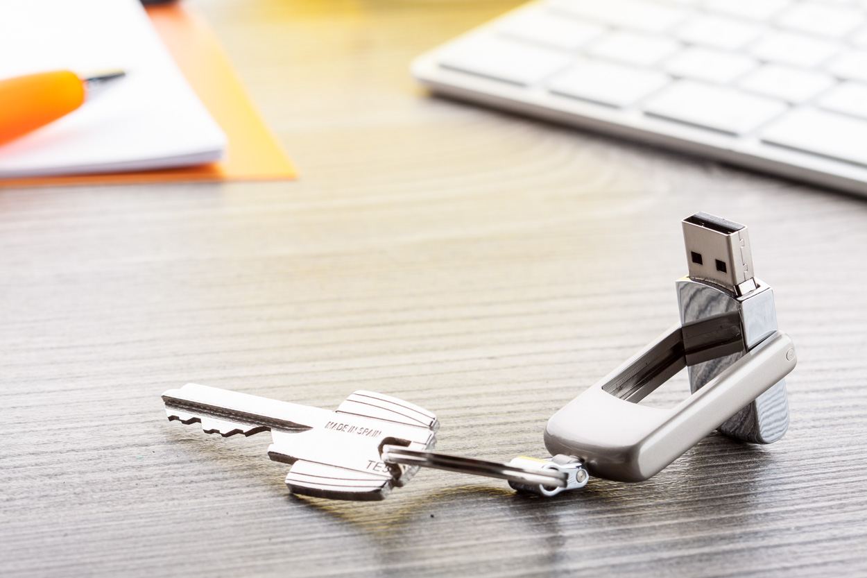 AP897068-21_4GB__DG1