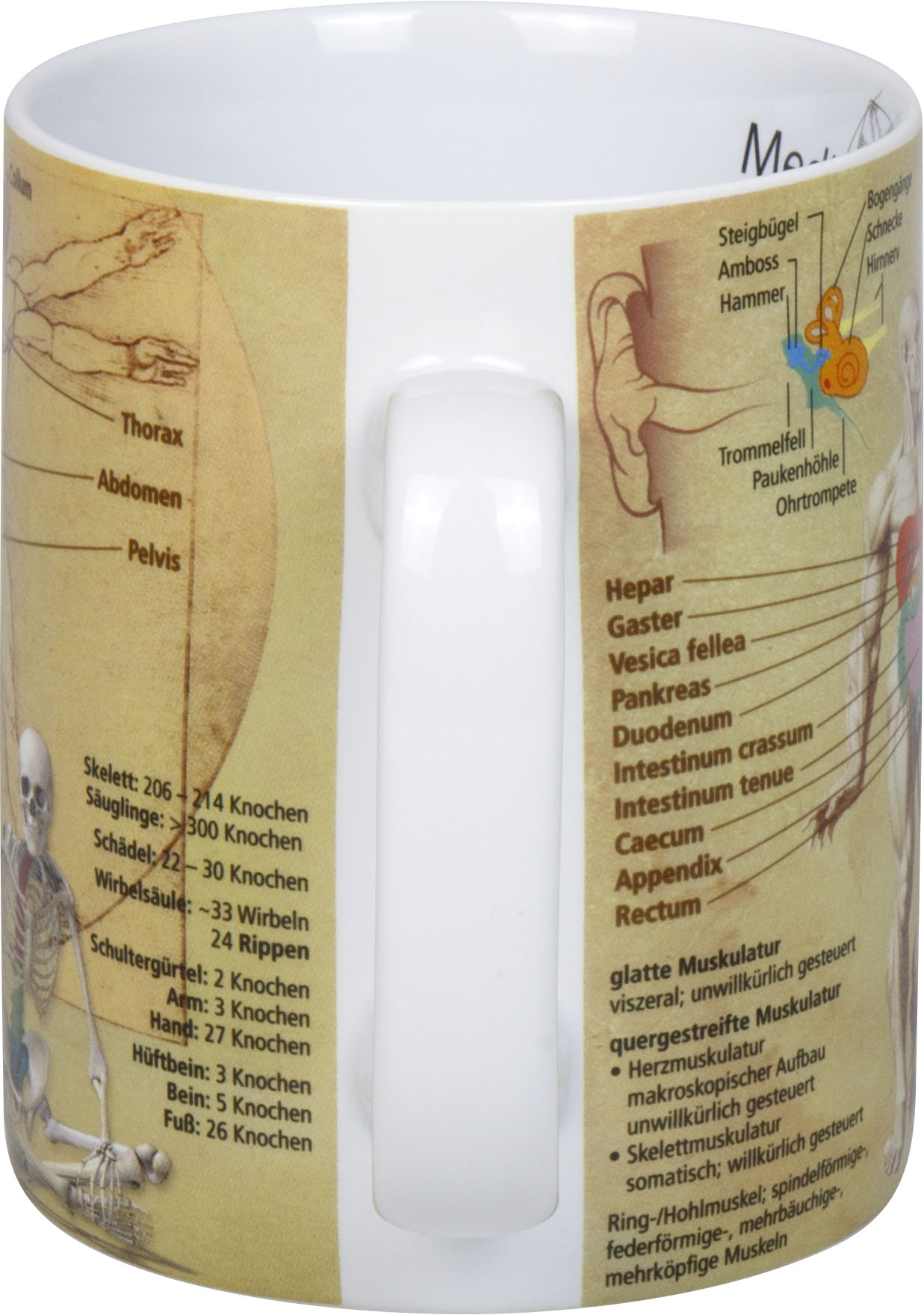 11 1 330 1709_handle