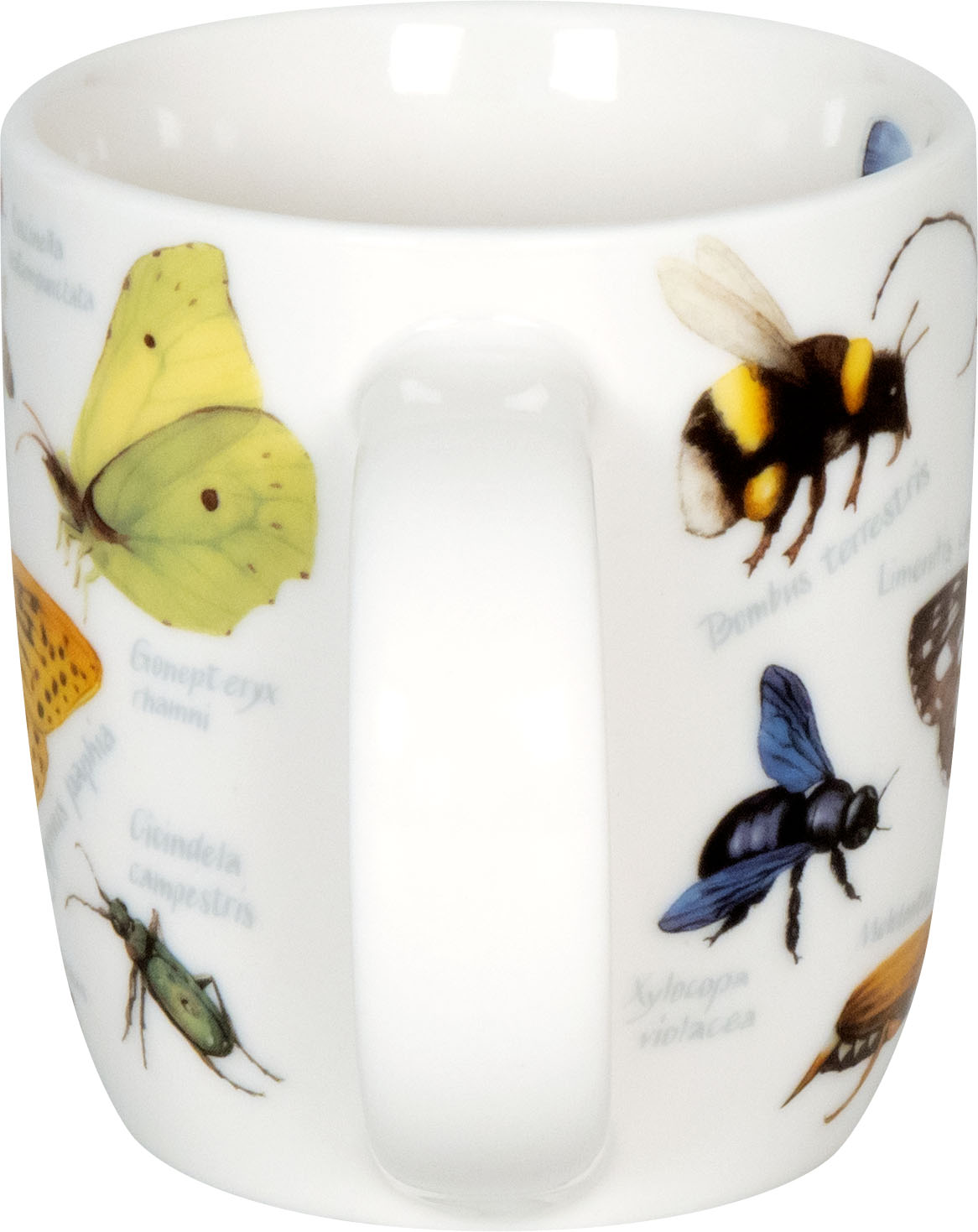 11 7 267 2678_handle