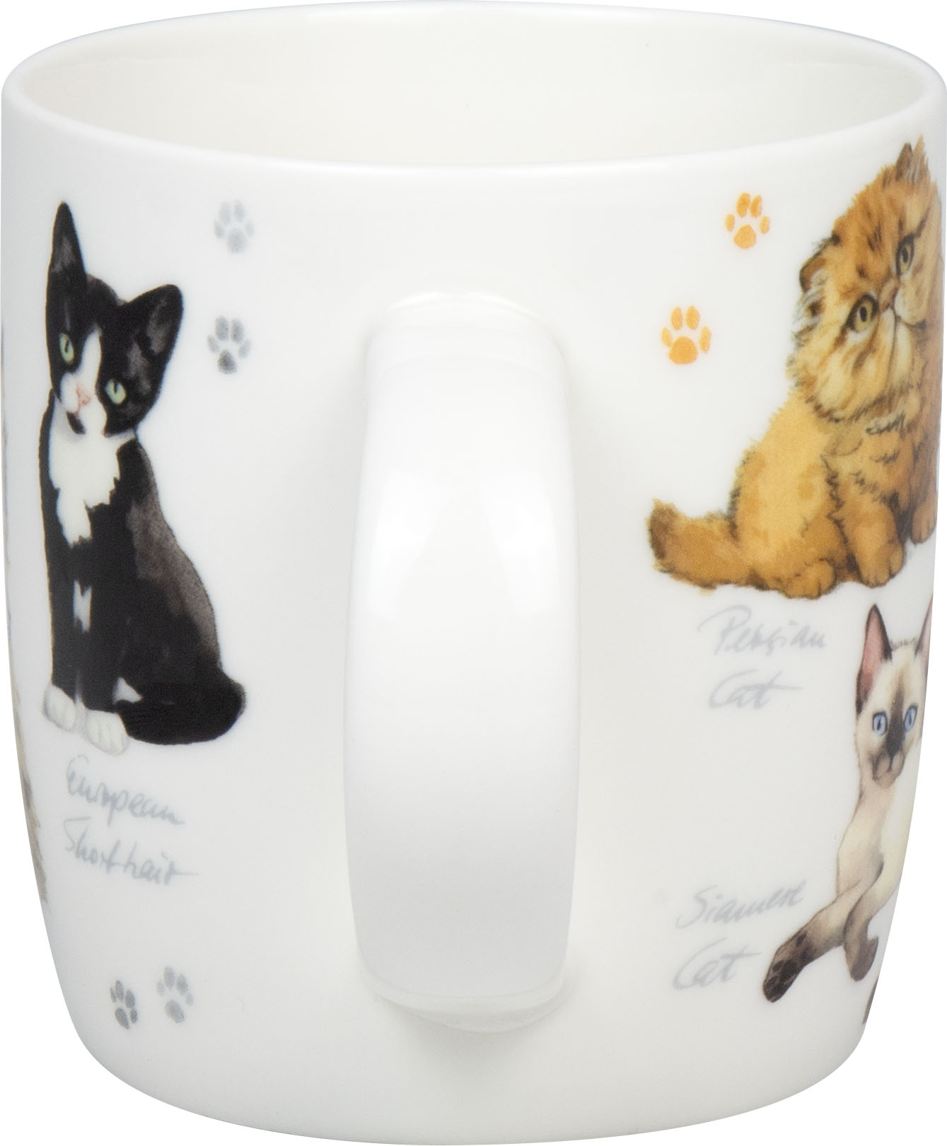 11 7 275 2866_handle