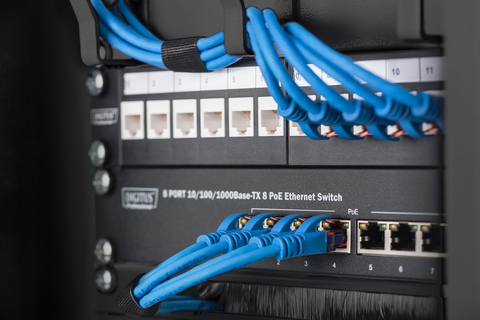 DN10ORG12UB_4016032473992_Front_1_RGB