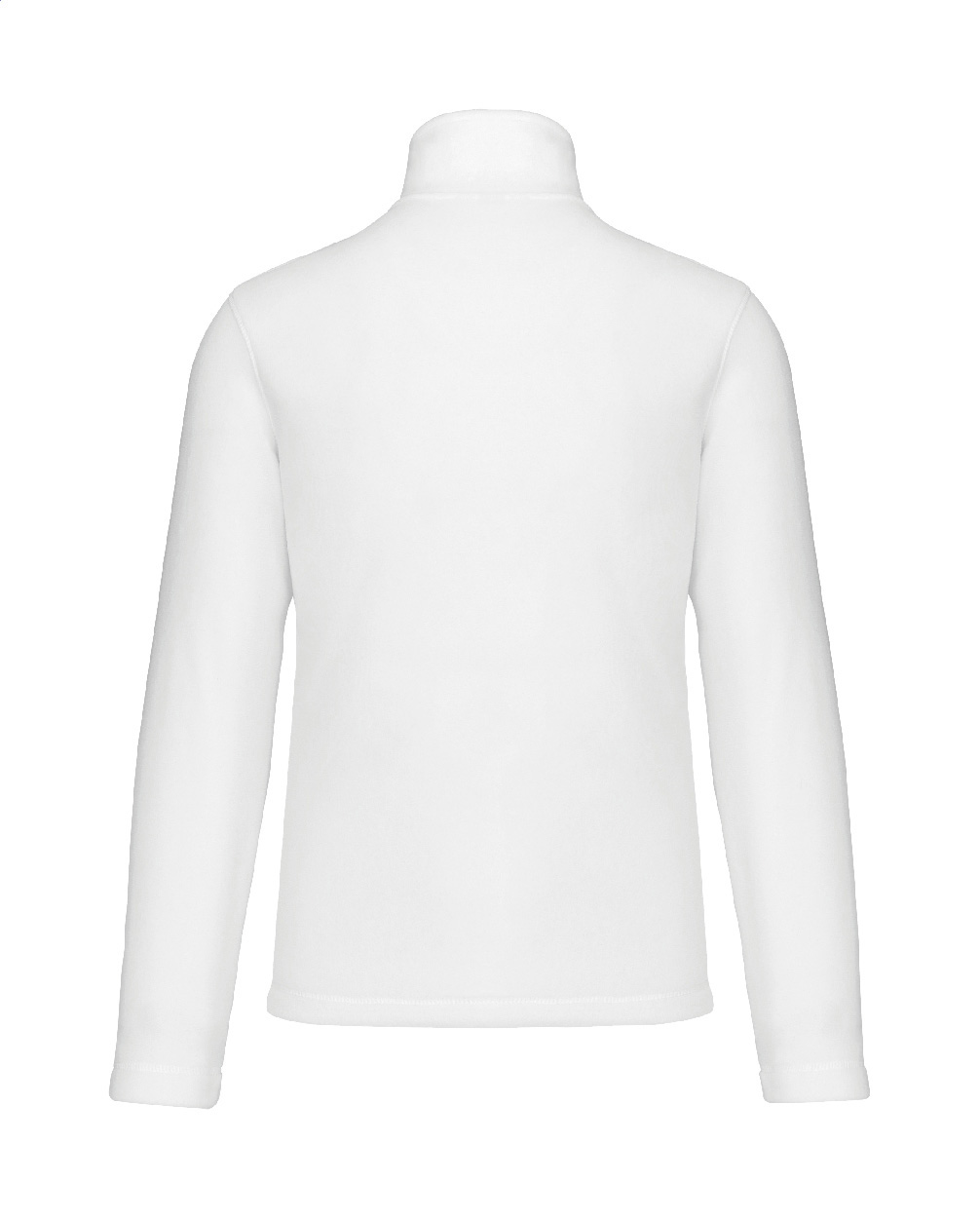 AP4779-01_L__A