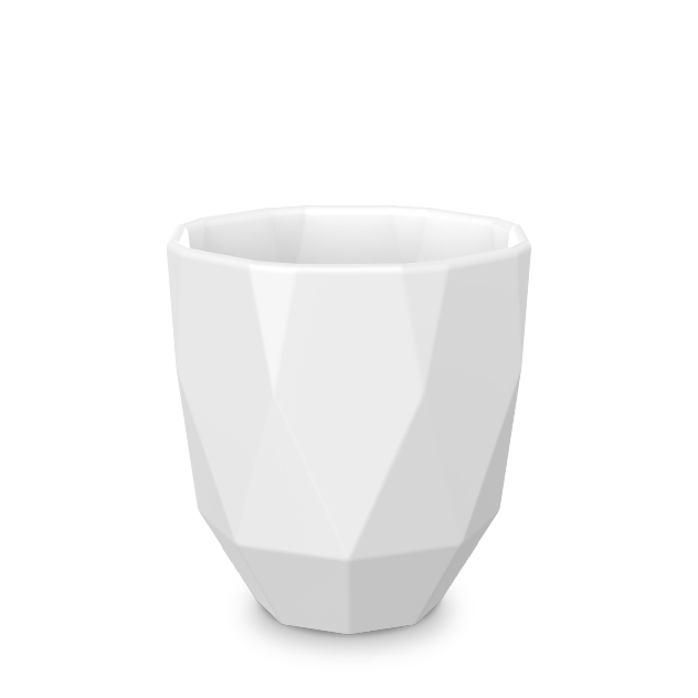 form-199-poly