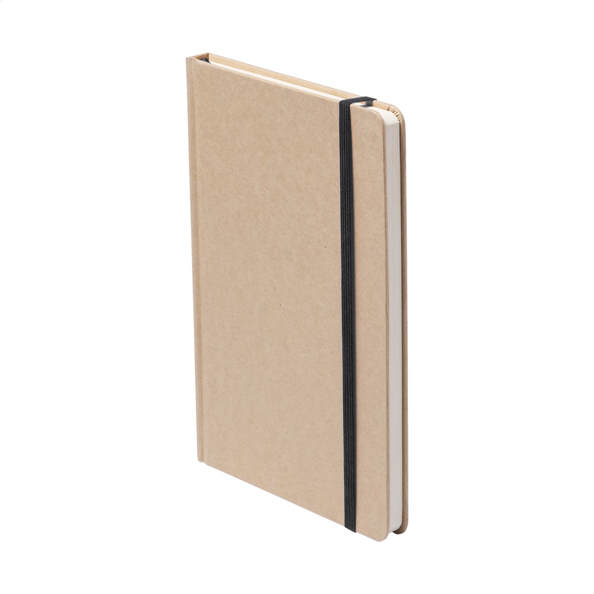 AP781196-10