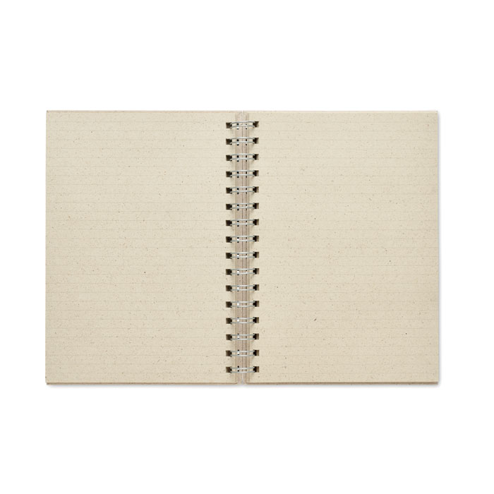 mo6541-13-back