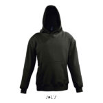 s13255-bk