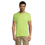 s11380-ag