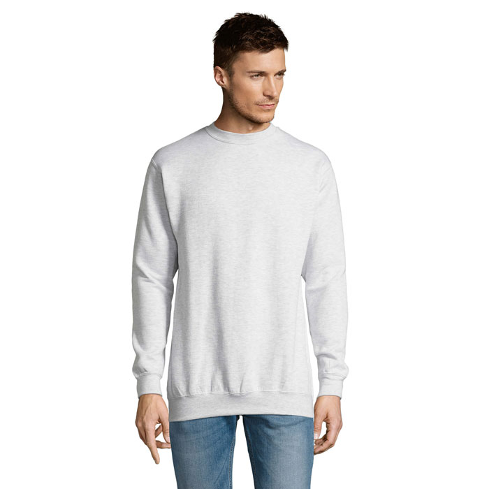 s13250-bk